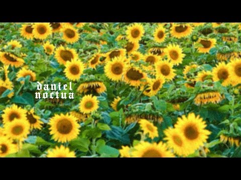 Daniel Noctua - Ten Den (prod. TnTXD)