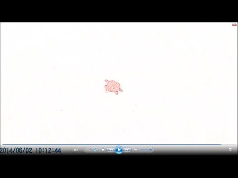 Satisfanic - Crazy (Balivibes)