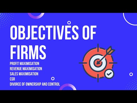 Objectives of Firms
