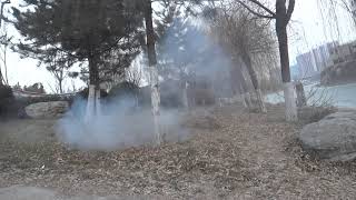 Re: [新聞] 黎巴嫩「BB Call」全國集體爆炸！至少8