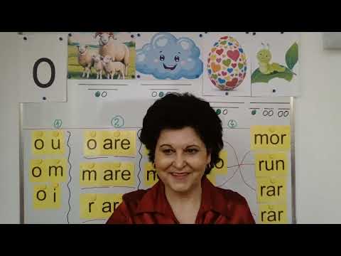 207 CLR Preparatory class and first class - Letter o