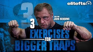 3 Exercises to Build Bigger Traps — John Meadows | elitefts.com