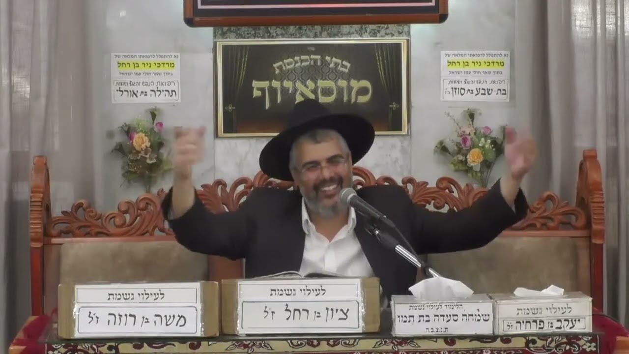 זבוב או דבורה? המשל המדהים של הבן איש חי על איך להסתכל על החיים