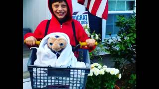 Halloween photos from Newtown Bee readers