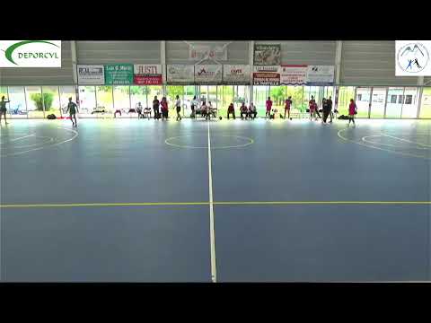 Partido Deporcyl BM Fuentes Carrionas - La Asunción ULE Cleba