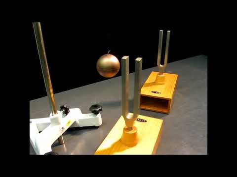 Tuning Forks Resonance + Ping Pong Ball