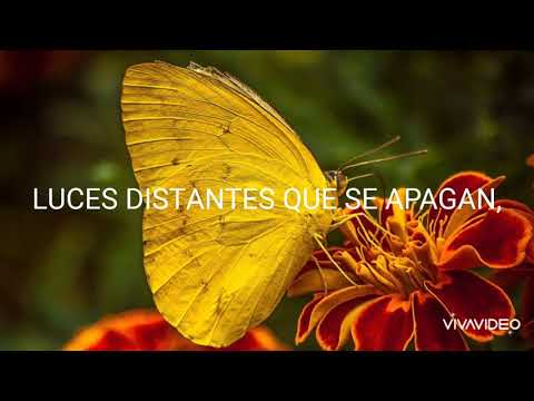 Kaimo K & Emma Horan - Black Light (sub español)