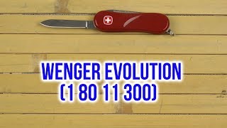 Wenger Evolution 81 (1.081.011) - відео 1