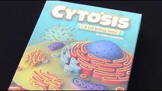 Cytosis PART 1 - Overview & Setup