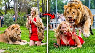 Essas 3 pessoas foram comidas vivas após invadirem o recinto do zoológico