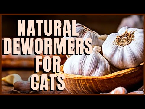 Natural Dewormers For Cats