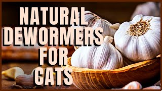 Natural Dewormers For Cats