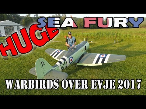 HUGE SEAFURY with CRASH LANDING?