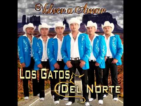 LOS GATOS DEL NORTE DAMA DE HIERRO
