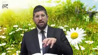 זרע שמשון פרשת שלח לך הרב אליהו עמר שליט"א תשפ"א