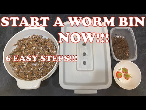 How To Start A New Worm Bin & What To Feed Your Compost Worms 1st | Vermicompost Worm Farm