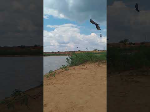 Interior de Anísio De Abreu PIAUÍ ❤️🙏