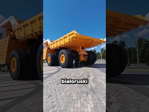 Twój samochód to dla niej niewidoczna przeszkoda