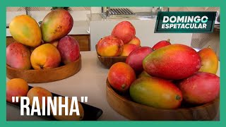 Miniatura do vídeo