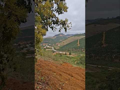 Centenário Brejetuba Espírito Santo