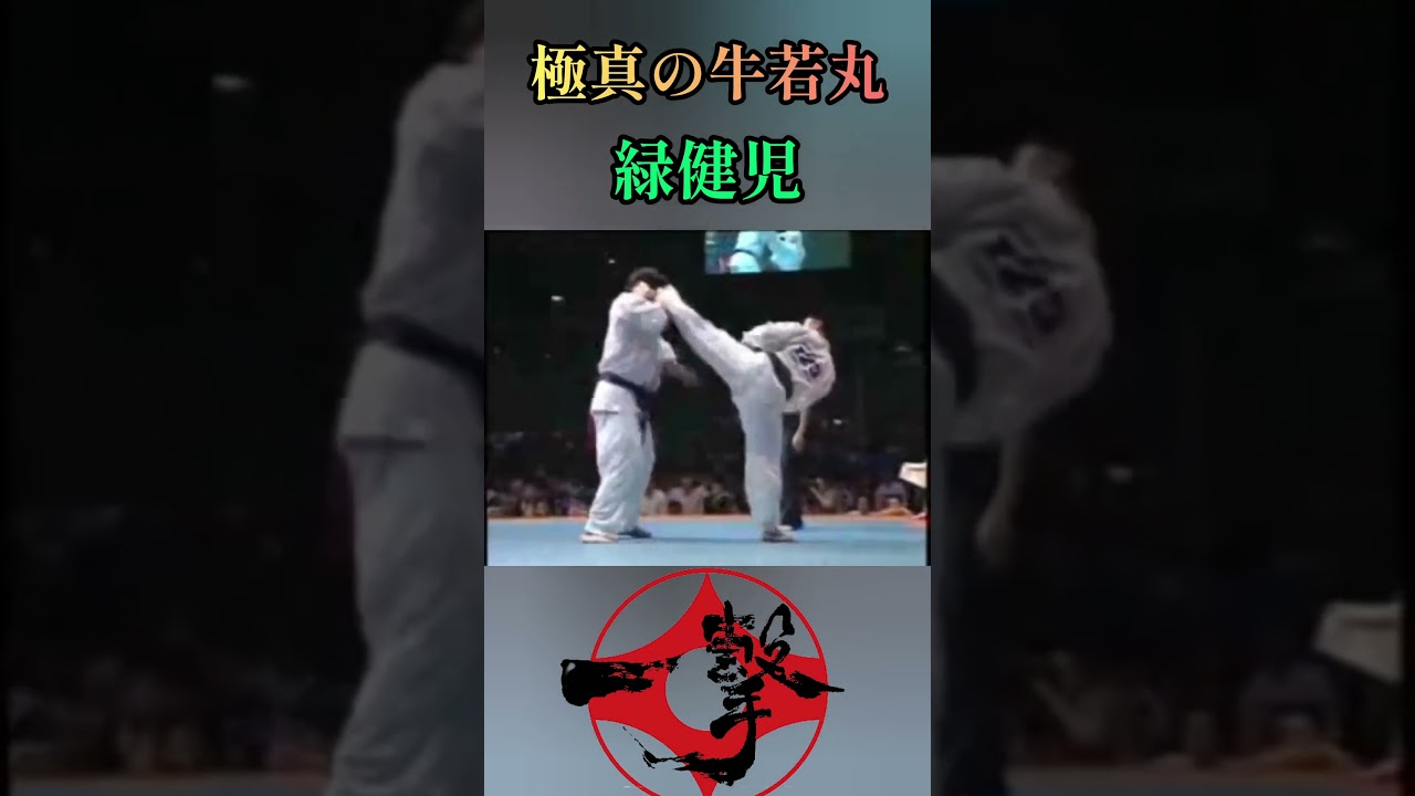 【極真空手】極真の牛若丸 第5回世界王者 緑健児の変幻自在の足技！　 #極真空手 #kyokushin #空手 #格闘技 #shorts