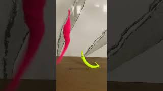 Download lagu she’s going to check tod’s internet browsing… | #viral #wormonastring #viralvideo #shorts mp3 Download lagu she’s going to check tod’s internet browsing… | #viral #wormonastring #viralvideo #shorts mp3