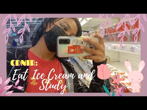 [ VLOG ] #CDNIR : Study and Watch Me Eat Ice Cream
