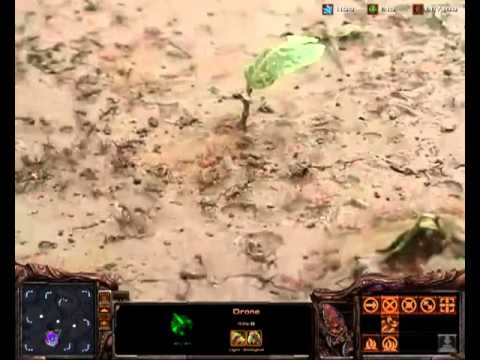 The Best ZvsZ - Stephano vs Dimaga - final game
