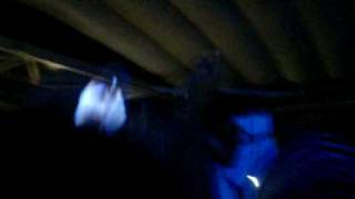 Pour Some Sugar On Me- The Maine