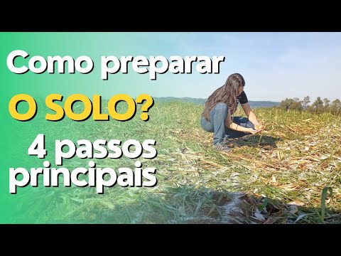 Como preparar o solo? 4 passos principais