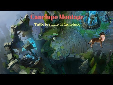 Tutte le razze esistenti di Canelupo|Canelupo1996 League of Legends Montage