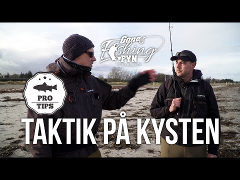 PRO TIP #1 – Taktik på kysten // Gone Fishing Fyn