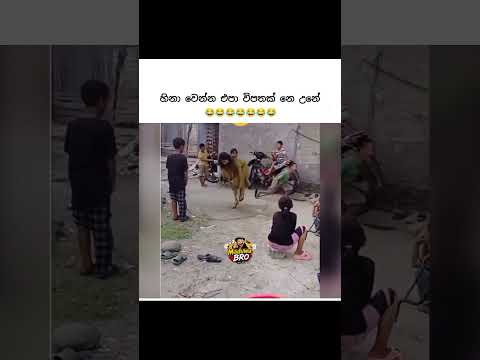 අඩො පවු බන්😂😂 #comedyshorts #funny #comedy #maduwabro #love #youtubeshorts #memes