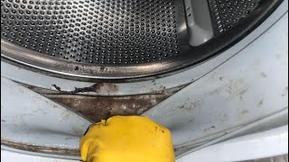 Bosch Washing Machine Door Seal Cleaning