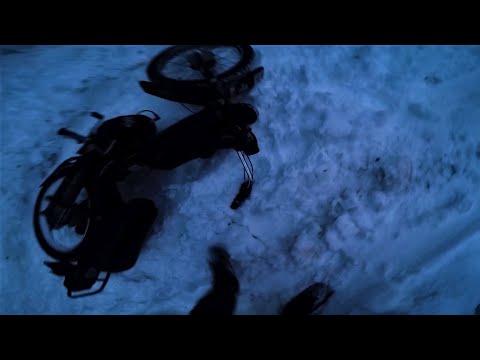 Tomos and Snow arent the Best Frends !