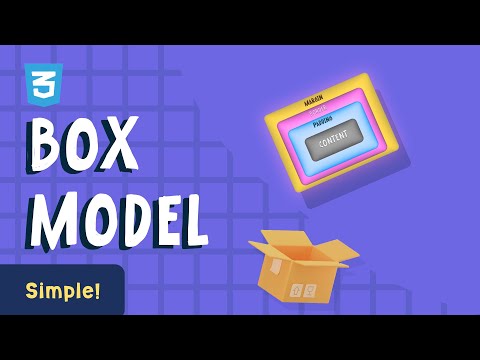CSS Box Model - Everything You Need To Know!