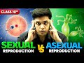 Sexual Vs Asexual Reproduction Class 10 Science How Organisms Reproduce