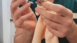 Leopard Gecko Medicine with Dr. Kline