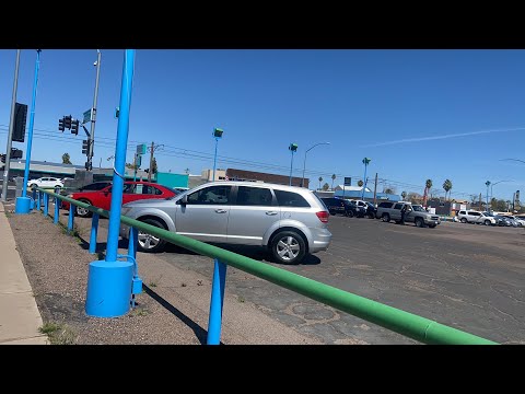 Traffic stop Officer gets bit My cobra