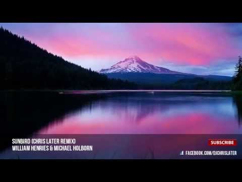 William Henries & Michael Holborn - Sunbird (Chris Later Remix)