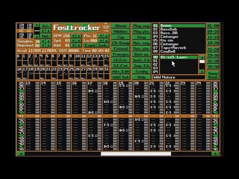 My old Fasttracker II projects #1: RCS - Wild Nature