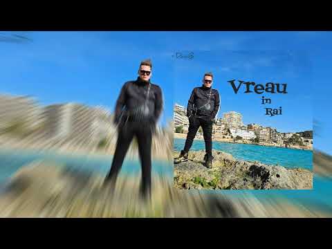 DaniiB - VREAU IN RAI | Official Audio