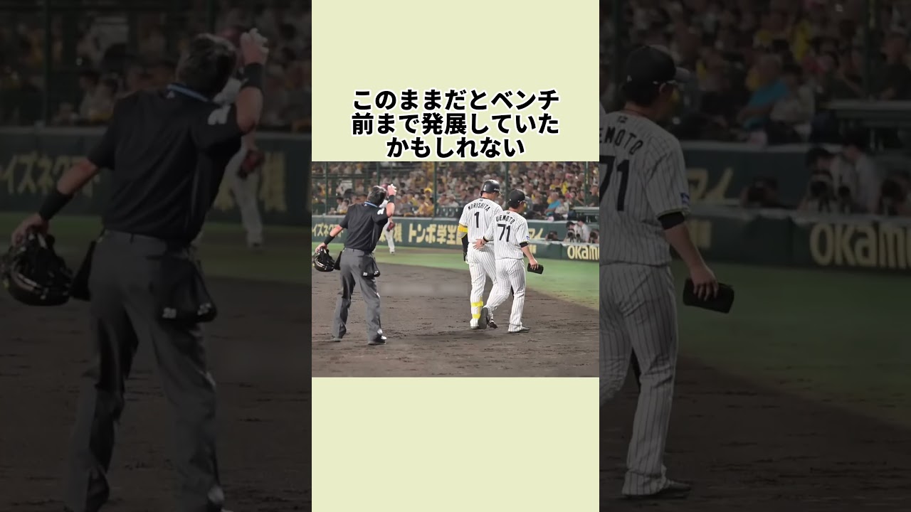 白井球審、またも暴走？森下との一触即発を村上が神回避#白井球審 #白井一行#野球 #野球雑学