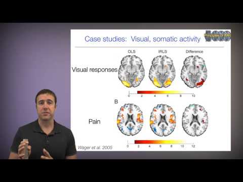 Principles of fMRI, Part 2, Module 14 - Robust regression