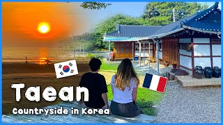 Taean, an exotic, amazing place to visit in Korea (Mudflat, rural house, beach) | Korea Travel VLOG