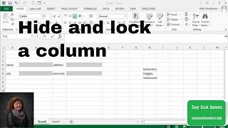 Hide and lock a column in Excel