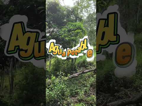 “Invierte Seguro: 4 Manzanas con Alta Plusvalía en Chalate ”Mayor información al +1 (781) 960-8618