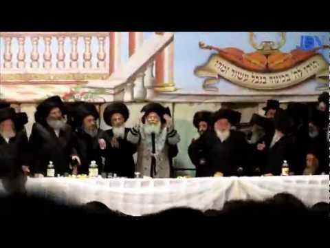 BOBOV WEDDING! Bobover Rebbe Shlita 48 Sons Chasina