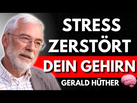STRESS DESTROYS YOUR BRAIN – And this is how you get it back under control | Gerald Hüther