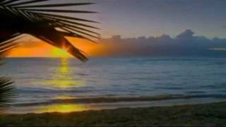 Chris Rea — All Summer Long (Shamrock Diaries)